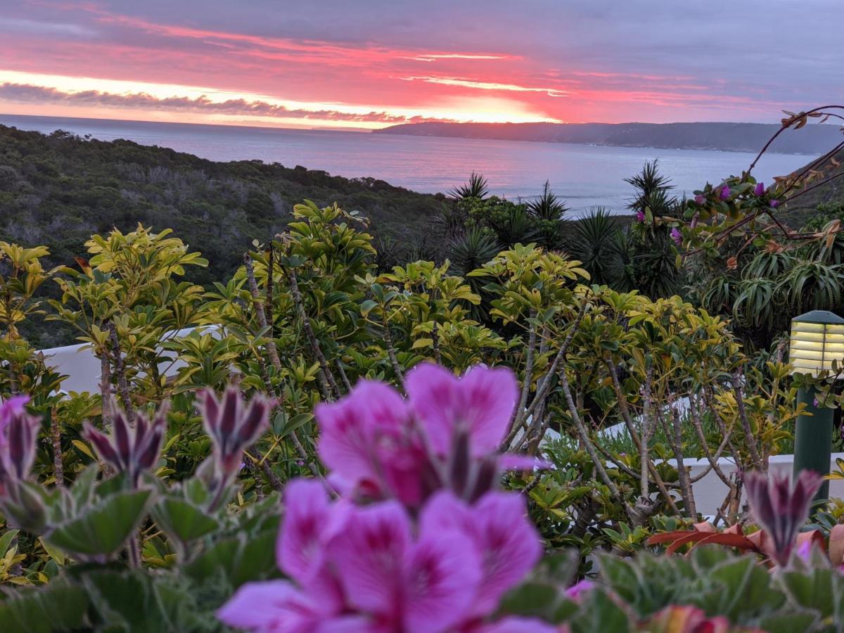 Villa Cape Garden Route Wildernis Eksteriør bilde