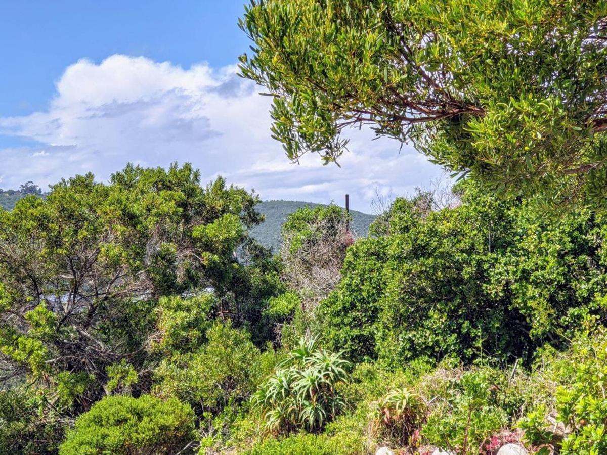 Villa Cape Garden Route Wildernis Eksteriør bilde